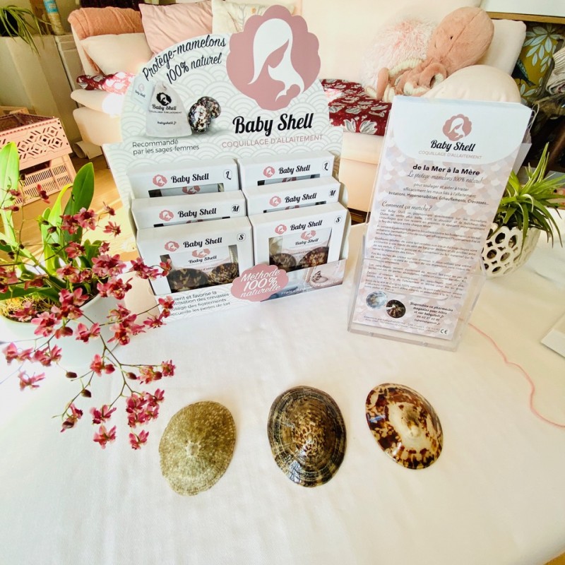 Coquillages d'allaitement Coquillages d'allaitement